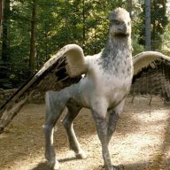 Kiki l’hippogriffe